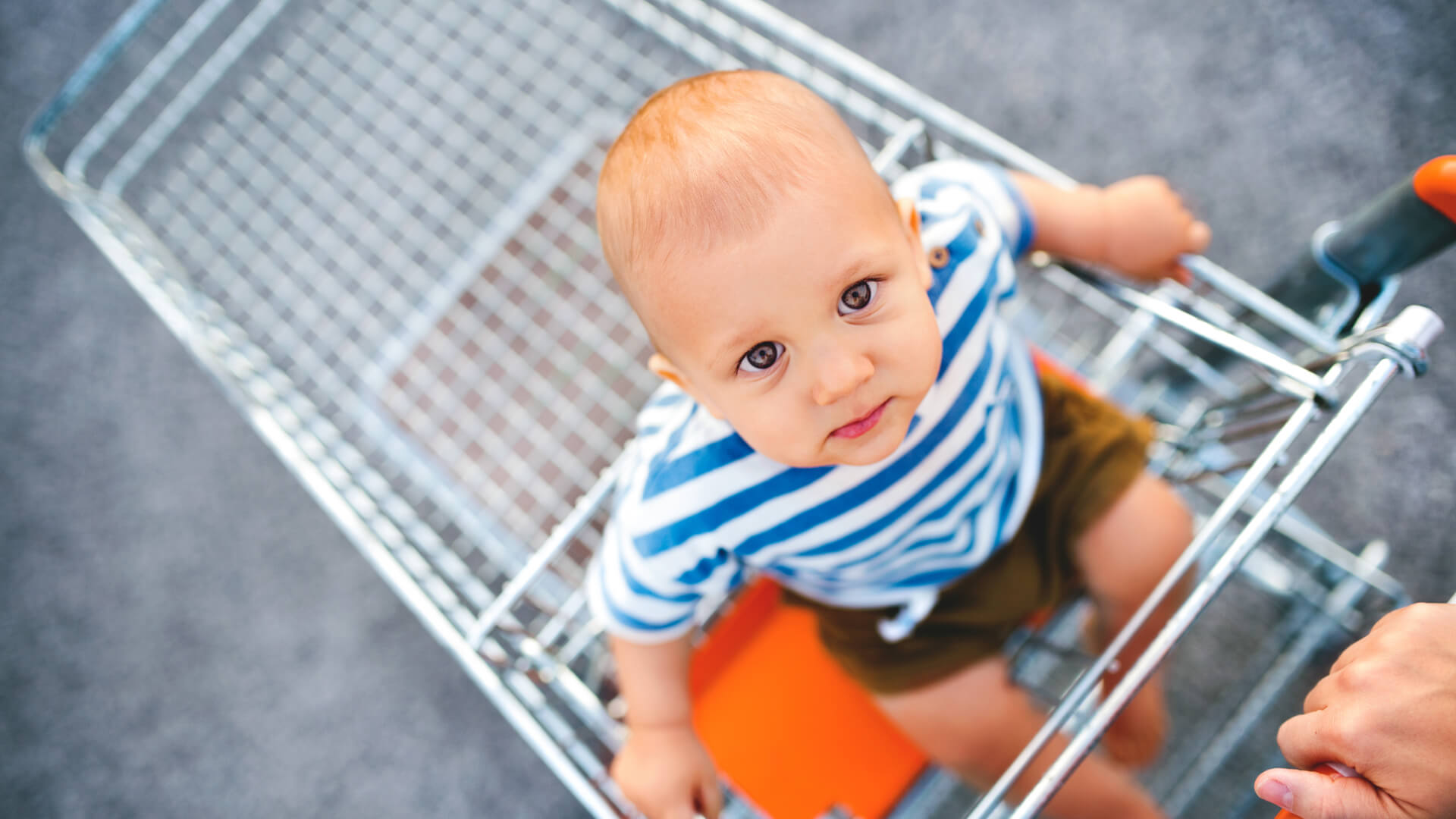 Shopping with Your Toddler