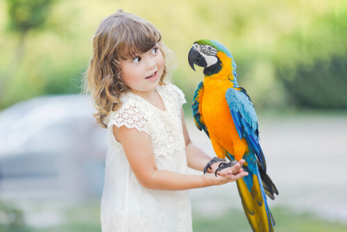 kid-and-a-parrot.jpg