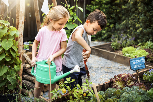kids-gardening